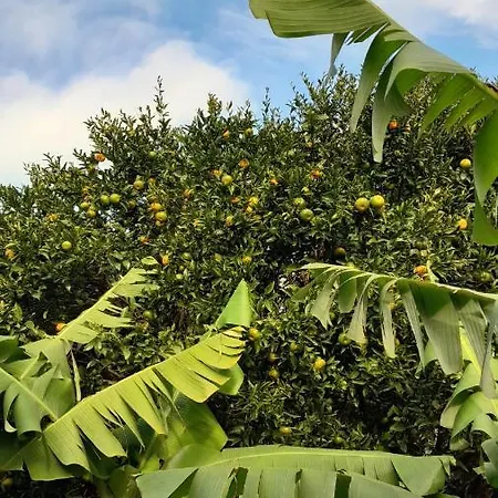 Appartamento Casa L&M Lajes das Flores Esterno foto