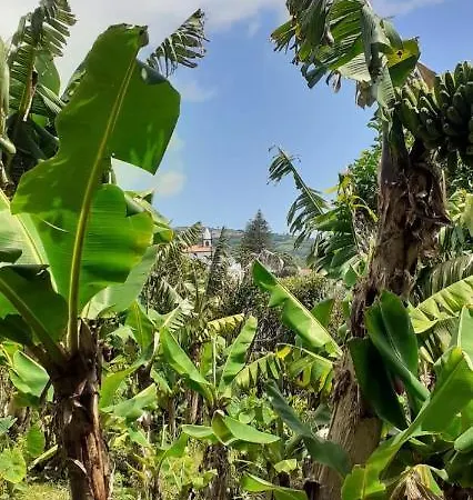 Appartamento Casa L&M Lajes das Flores Esterno foto
