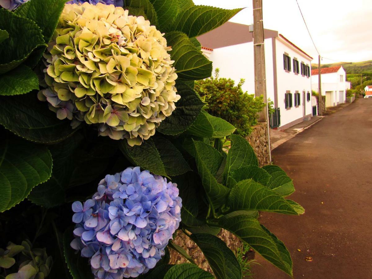 Appartement Casa L&m Lajes das Flores
